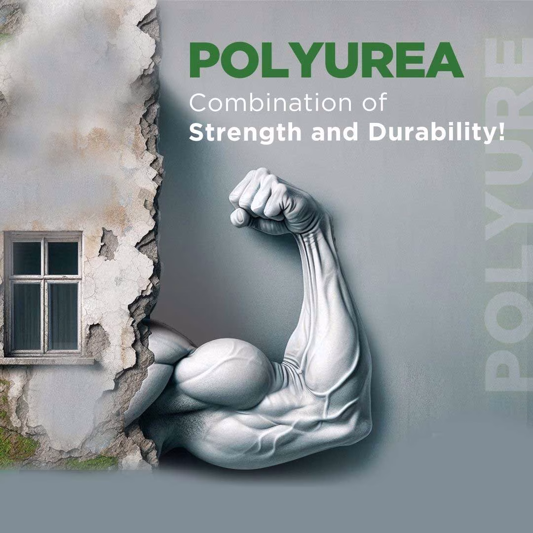 polyuera-kategorisi-min